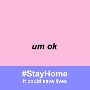 Meet your Posher, Bella